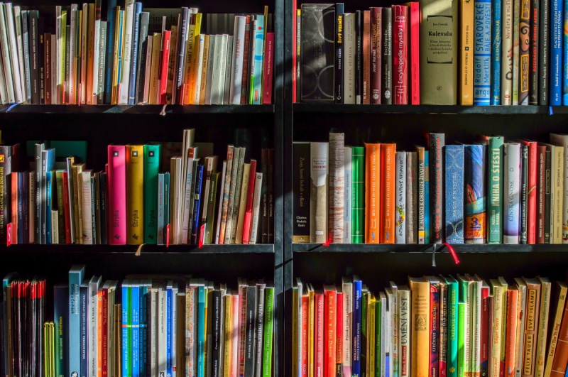 vente-SOSPEL-min_books_bookstore_book_reading_shop_writer_sale_books_read-822866